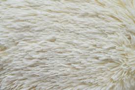 Image result for white rabbit skin texture