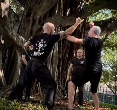 Image result for Bujinkan Truro Dojo