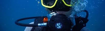 Image result for Surrey Aquanauts B S A C 0689