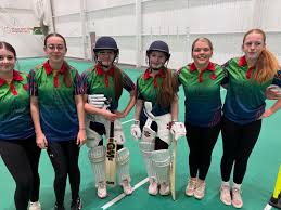 Image result for Bradfield Cricket Club