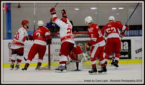 Image result for Swindon Panthers