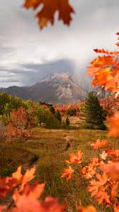 Image result for $$fall_akte__ort$$