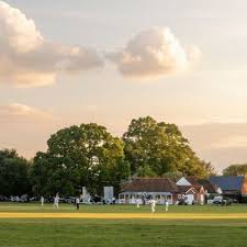 Image result for Ickwell Cricket Club