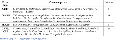 Attēlu rezultāti vaicājumam “Craterium minutum cf. var. brunneum”