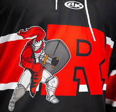 Image result for Reading Knights