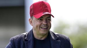 Image result for Dorking Wanderers F C