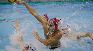 Image result for Exeter Waterpolo and Swimming Club