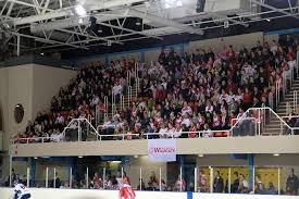 Image result for Swindon Panthers