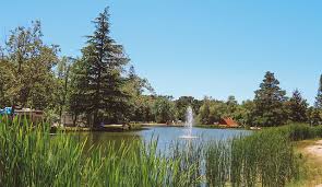 Image result for Thames Valley Silent Flyers