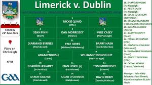 Image result for University Of Limerick Gaa Hurling Club