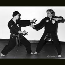 Image result for Kenpo Karate Club