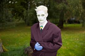 Image result for Karin Dreijer Andersson