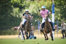 Image result for Cowdray Park Polo Club