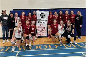 Image result for Cheltenham Cobras Volleyball Club
