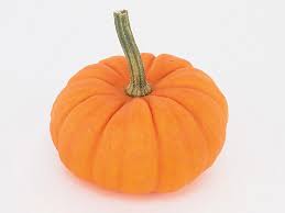 Attēlu rezultāti vaicājumam “Cucurbita pepo”