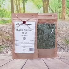 Attēlu rezultāti vaicājumam “Ribes nigrum leaf”