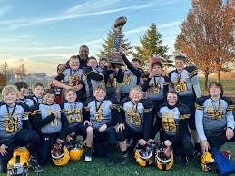 Image result for Manor Colts Youth Football Club
