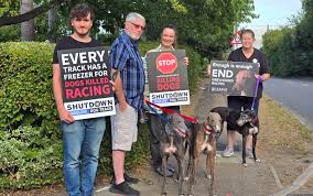 Image result for Reading Greyhound Track