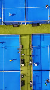 Image result for Purley Netball Club