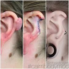 Image result for ear mod