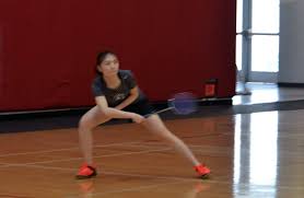 Image result for Fylde Ivc Badminton Club