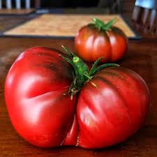 Afbeeldingsresultaat voor black sea man tomato