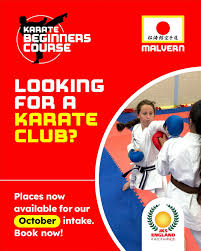 Image result for Addlestone Shotokan Karate Club