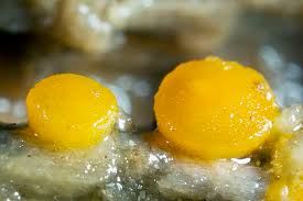 Attēlu rezultāti vaicājumam “Miladina lecithina”