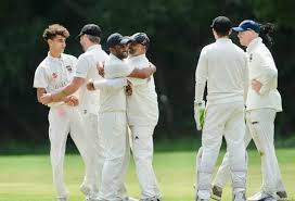 Image result for Bolney Cricket Club