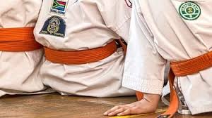 Image result for Masters of Martial Arts