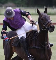 Image result for Kirtlington Park Polo Club