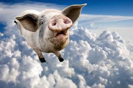 Image result for flying pigs