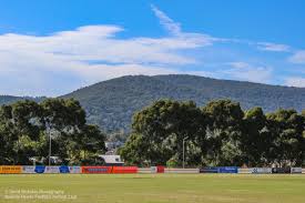 Image result for Crickets Netball Club