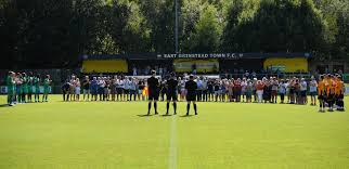 Image result for East Grinstead Town Football Club