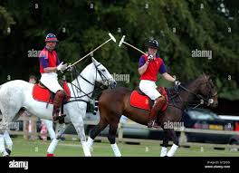 Image result for Cirencester Park Polo Club