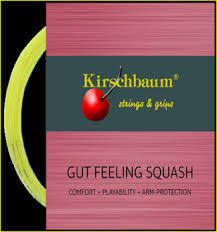 Image result for Strings Squash & Fitness Squash Club