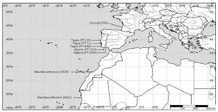 Image result for Argyrosomus inodorus