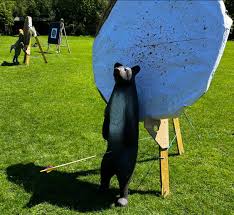 Image result for The Bowmen Of Lyme Archery Club