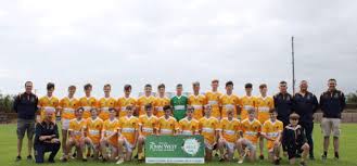 Image result for Silverbridge Harps Gac