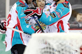 Image result for Cardiff Capitals