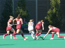 Image result for Rayleigh boys under 7's Leopards- need a Goalie!