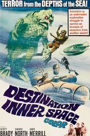 Image result for innerspace divers