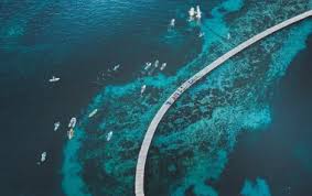 Image result for South Shore Kite Boarders Club