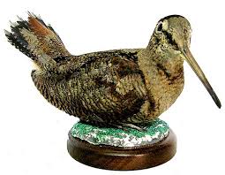 Attēlu rezultāti vaicājumam “Scolopax rusticola eggs”