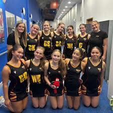 Image result for Huddersfield Giants Netball Club