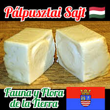 Image result for pálpusztai