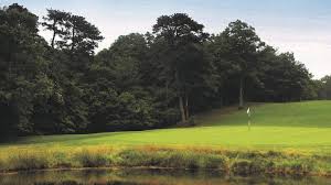 Image result for Falmouth and Helston Octopush Club