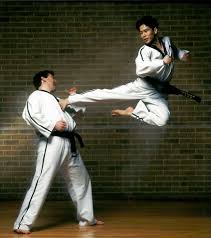 Image result for Chichester Tae Kwon Do