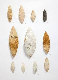 Image result for feuille-laurier-silex