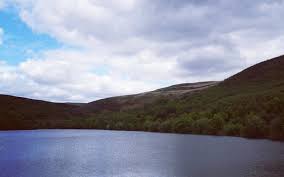 Image result for Stalybridge Snorkel Club